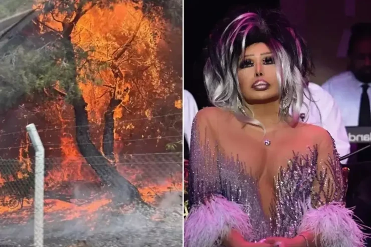 Meşə yanğınları Bülent Ersoyun villasına  yaxınlaşdı - VİDEO 