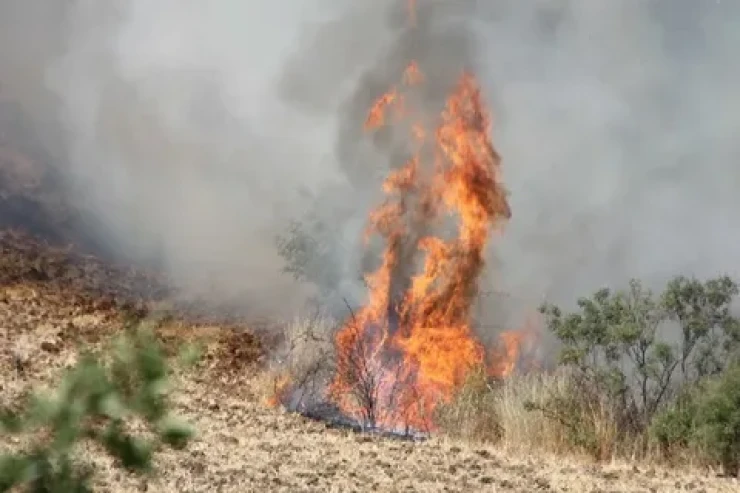 Goranboyda ildırım  yanğına səbəb oldu