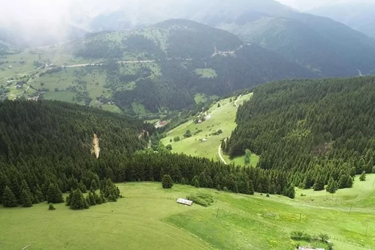 Yaylaqda torpaq davası qətliama  çevrildi