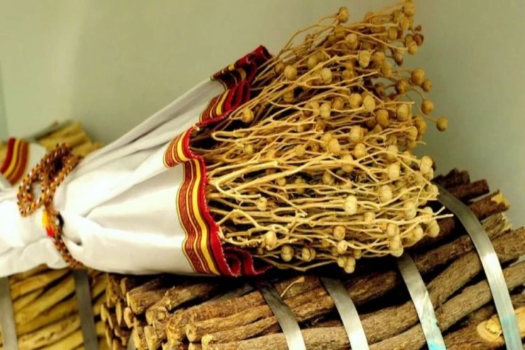 Xaricə üzərlik aparmayın - Həbs oluna bilərsiniz 