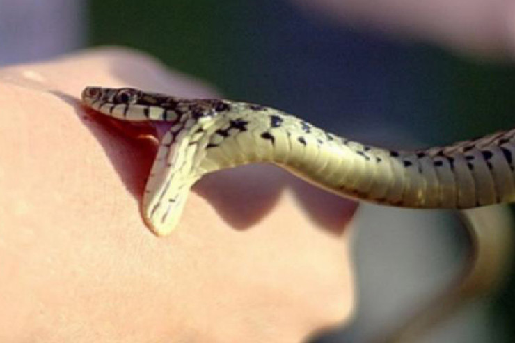 Samuxda 35 yaşlı qadını  ilan sancdı 