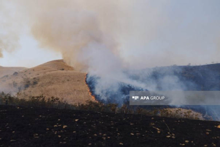 Şəki dağlarında yanğın başladı - VİDEO 