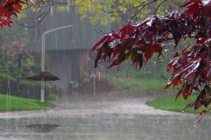 Bu rayonlara yağış yağır - FAKTİKİ HAVA 