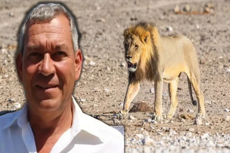 Məşhur iş adamını şirlər yedi 