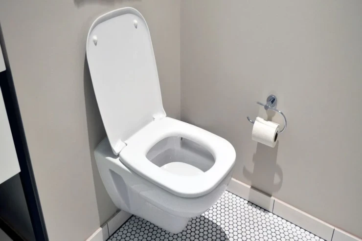 Evdə tualet oturacağından daha çirkli olan 5 əşya 