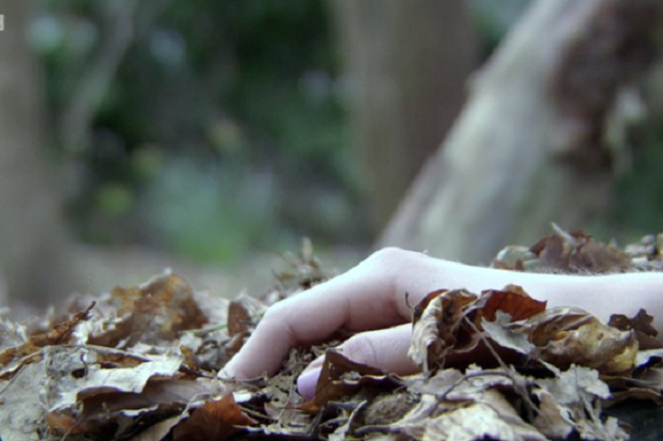 Azərbaycanda 2 il əvvəlki qətlin ÜSTÜ AÇILDI:  qadını öldürüb meyitini meşədə gizlətdi 