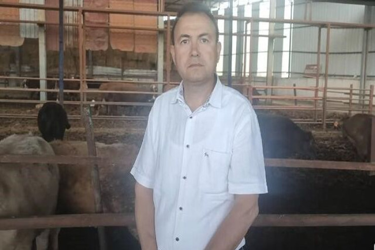 Qurbanlıq dana onu satan sahibini öldürdü - İNANILMAZ OLAY 