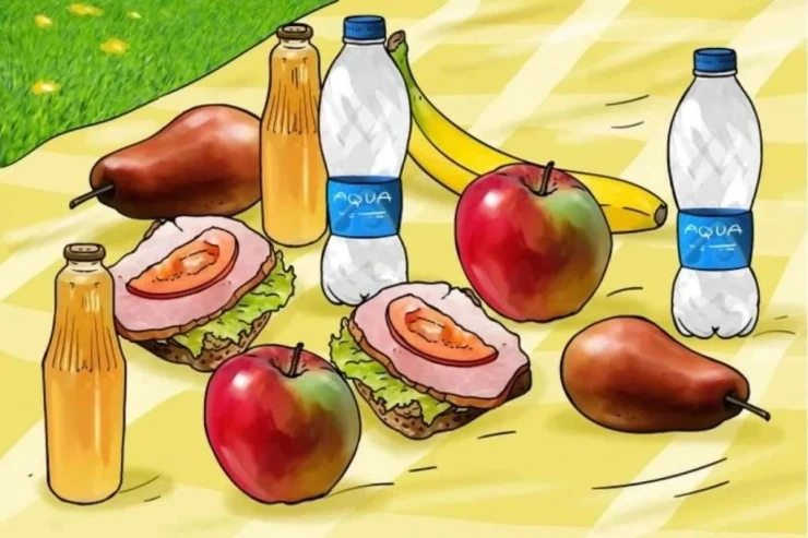 Mürəkkəb TAPMACA:  təxmin edin, bu piknikdə nə səhvdir? 
