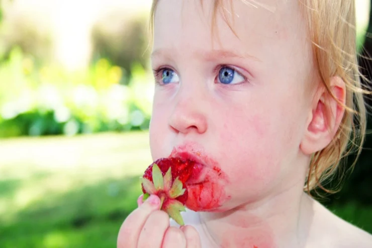 Uşaqlara nə vaxtdan çiyələk, albalı və digər giləmeyvələr vermək olar? - CAVAB 