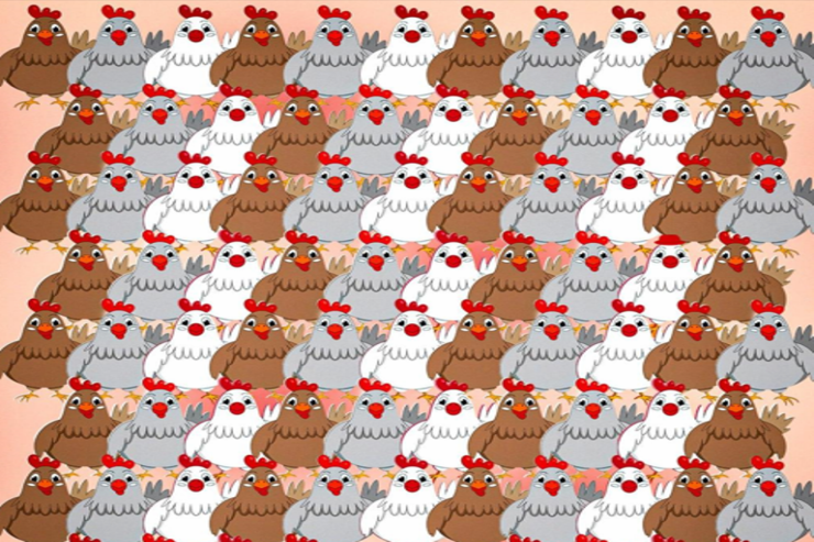 Çox çətin  tapmaca:   7 saniyə ərzində şapka tapmaq  lazımdır