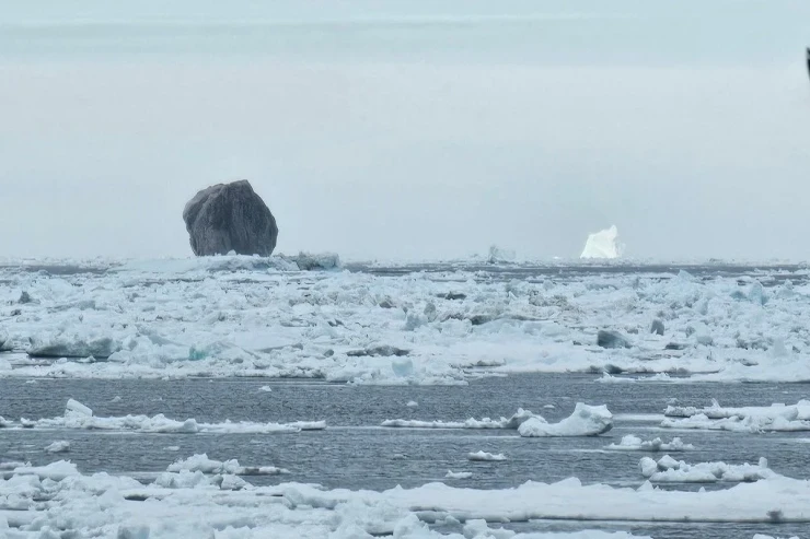 Hər kəsi heyrətləndirən qara aysberq  necə yaranıb? - FƏRZİYYƏLƏR 