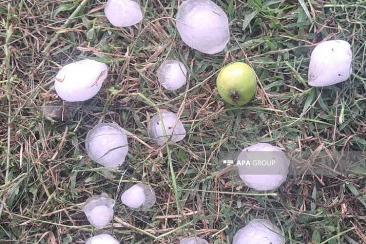 Zaqatalada kəndlərə dolu yağdı  