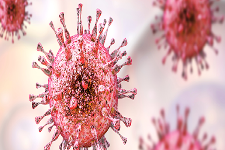 Viruslar xərçəngi  necə müalicə edir? - ARAŞDIRMA 