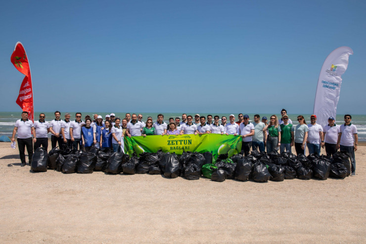 “Zeytun Bağları”ndan növbəti ekoloji layihə