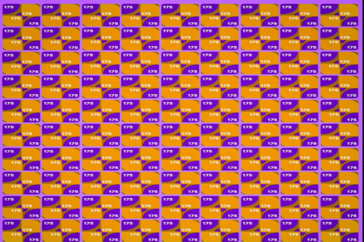 115 rəqəmini 11 saniyədə   tapa bilərsinizmi: bunu yalnız qartal gözlü insanlar edə bilər