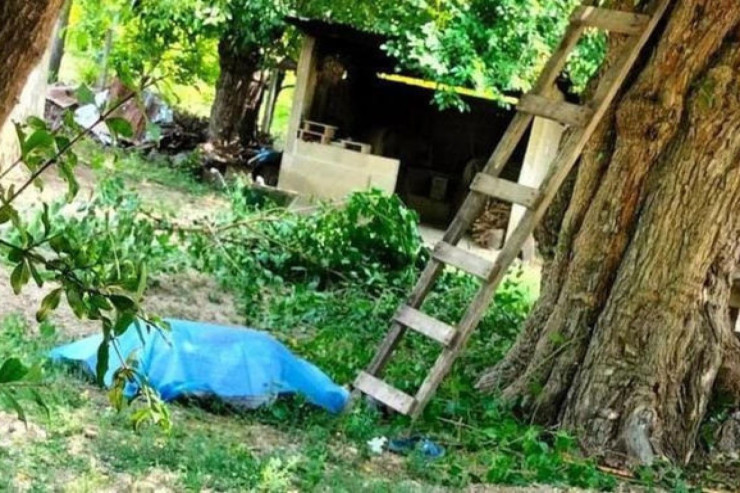 70 yaşlı kişi ağacdan yıxılıb öldü 