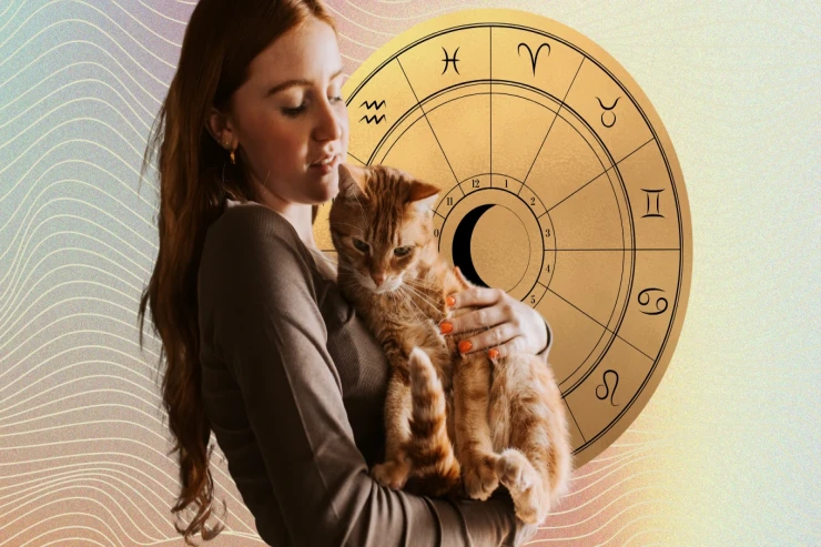 Daha asan nəfəs  alacaqsınız: Yeni həyata başlayacaq  BÜRCLƏR