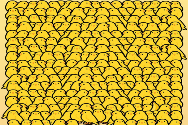 İnsanların yalnız 2 faizi 6 saniyəyə quşların arasında banan  tapa bilər: Çətin tapmaca 