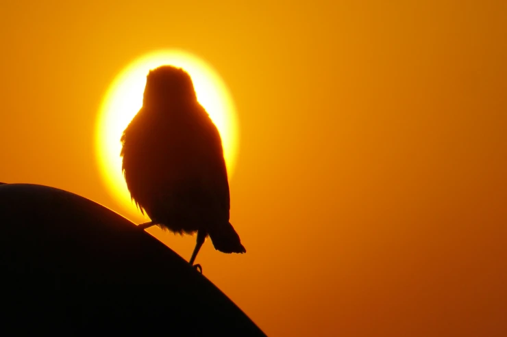 Sabah 36 dərəcə isti  olacaq - Hava PROQNOZU 