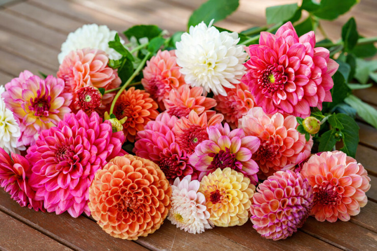 8 martqabağı mağazadan 15 minlik gül  oğurladı