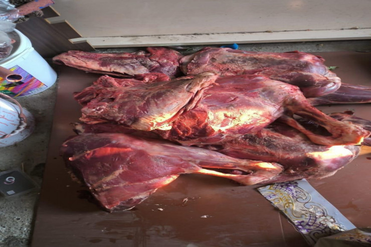 Şərurda  ölmüş heyvan əti   satmaq istədilər