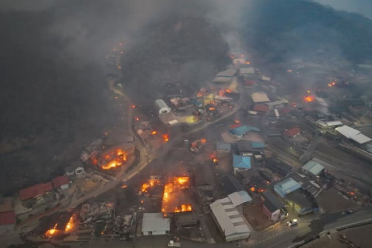 Meşə yanğınları 16 nəfərin  canını aldı