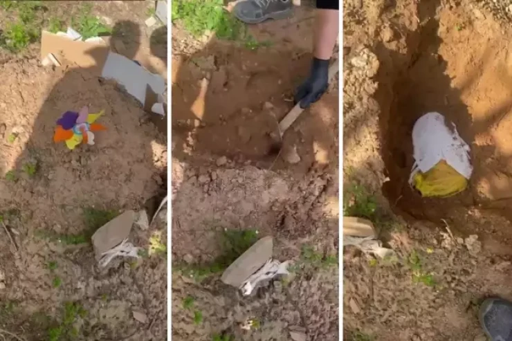 Anasının məzarından pişik cəsədi tapdı - ŞOK GÖRÜNTÜLƏR 