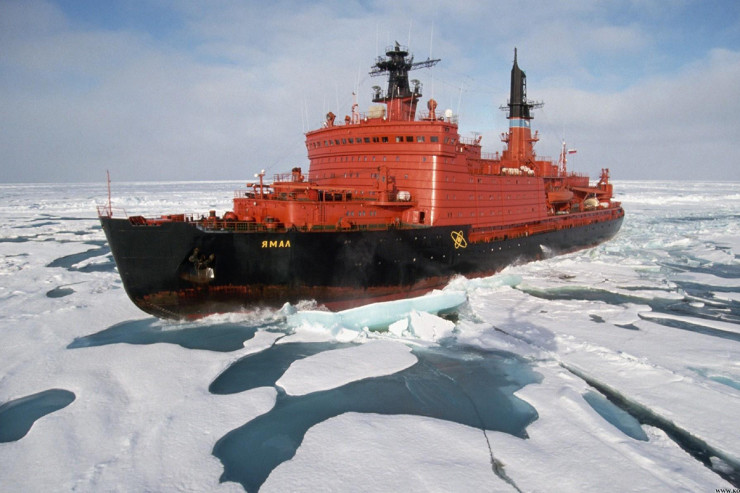 Tramp buzqıran axtarır