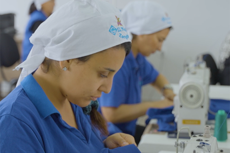 Azad olunmuş ərazilərdə yeni iş imkanları - VİDEO 