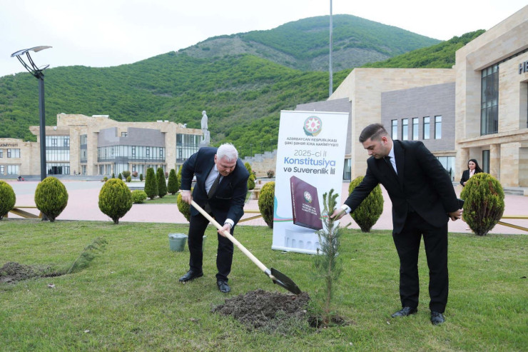 Şəkidə ağacəkmə aksiyası keçirilib