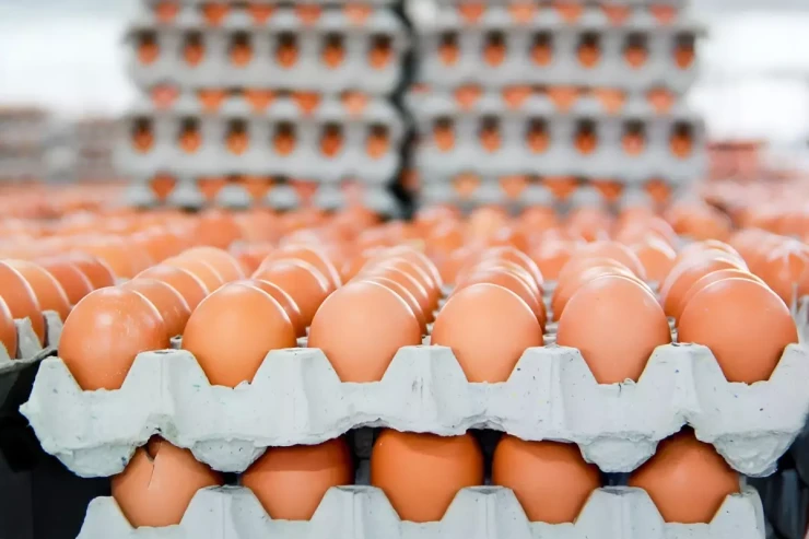 Qəhvəyi yumurtaların satışı dayandırılır - SƏBƏB 