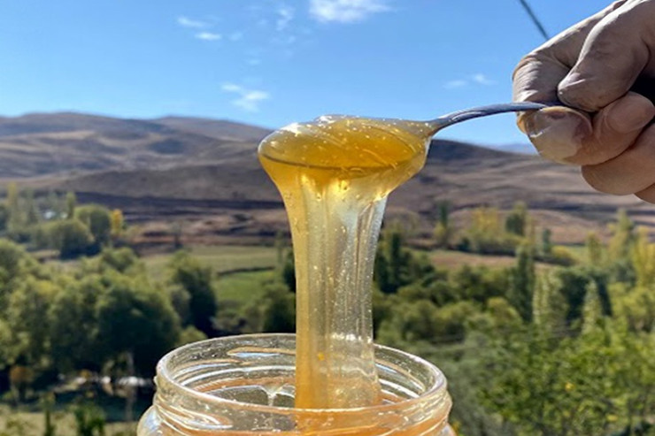 Azərbaycanda ən xalis və faydalı bal hansı rayonlarda olur? – SİYAHI 