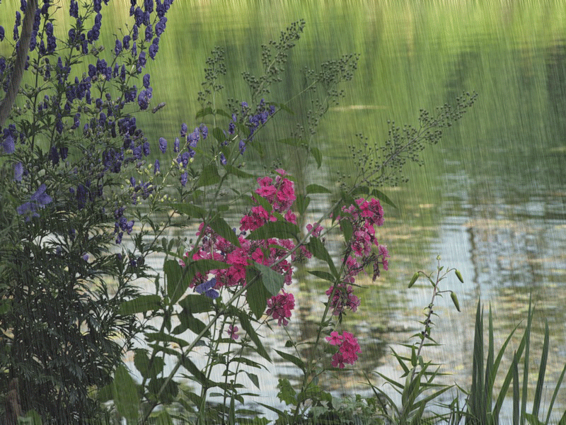 Bakıda 28 dərəcə isti  olacaq, rayonlara leysan yağacaq  - Sabahın HAVASI 