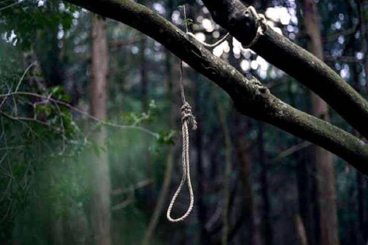 Azərbaycanda DƏHŞƏT:  tələbənin meşədə asılmış meyiti  tapıldı