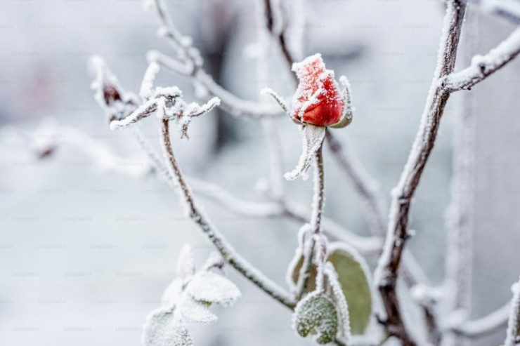 Mayda Azərbaycana qar yağdı - GÜNÜN HAVASI 
