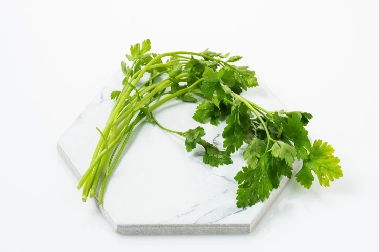  Göyərtini   yeməyə nə zaman əlavə etmək olar? 