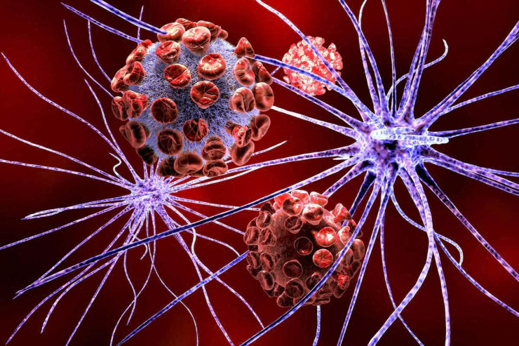 Avropada ilk dəfə aşkar edilən sirli virus:  ona qarşı peyvənd yoxdur 