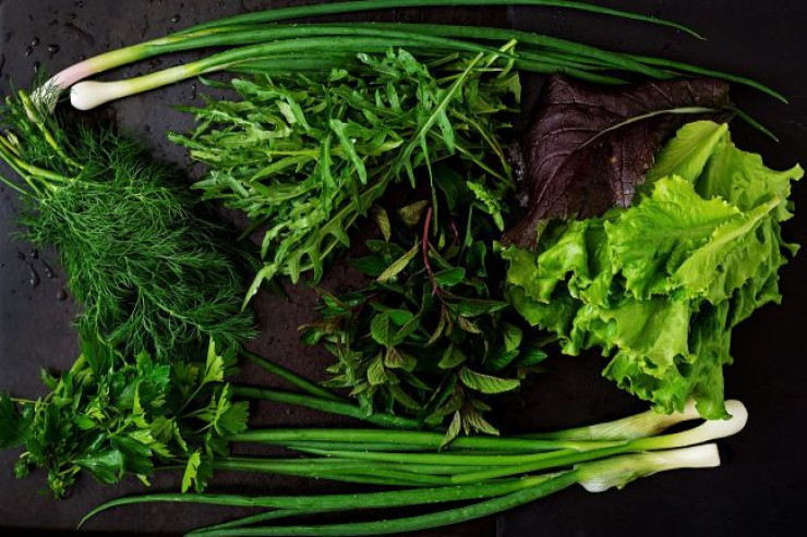 Hansını seçmək daha faydalıdır? Cəfəri yoxsa şüyüd? 