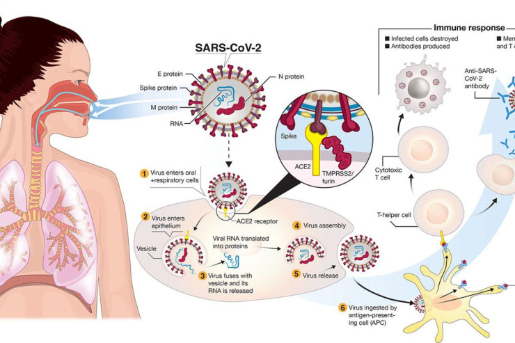 Alimlər koronavirus pandemiyasının başladığı yeri  izləyiblər