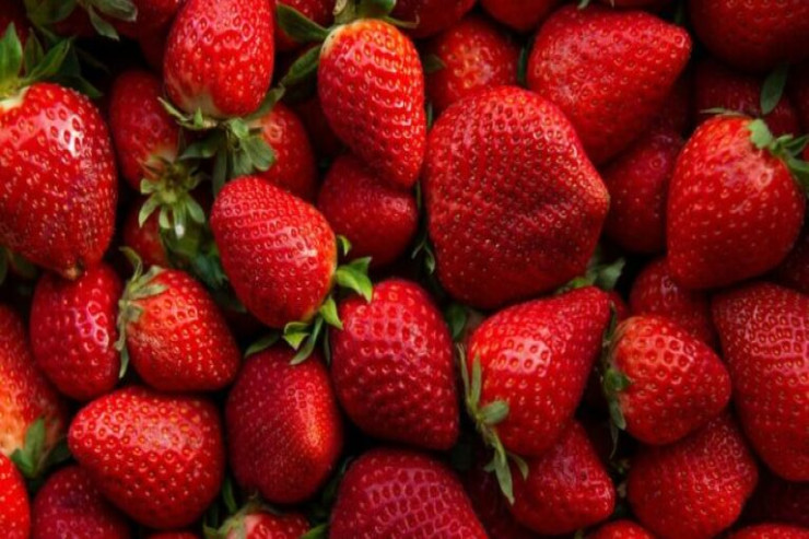 Çiyələyin çürüməsinin qarşısını necə almaq olar? parça kifayət edir 