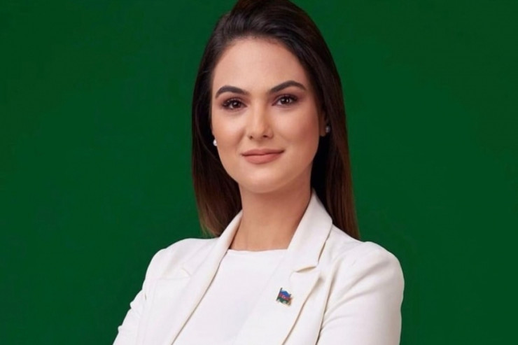 Tanınmış teleaparıcıya qarşı TƏXRİBAT:  onun adı ilə yazışdılar