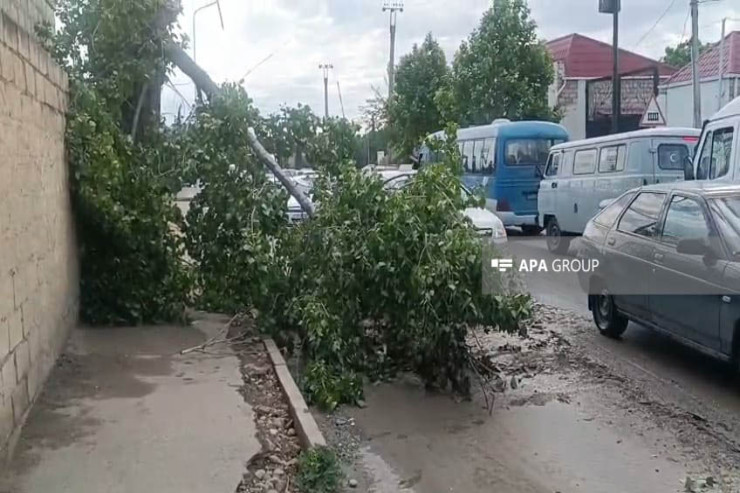 Gəncədə güclü külək və leysan fəsadlar törətdi  