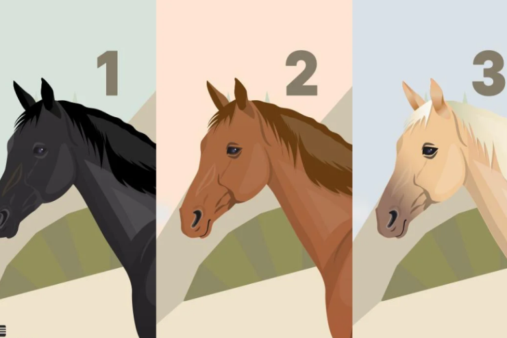 Hansı atı seçdiniz:  Özünüz üçün quracağınız gələcək - Sürətli psixoloji TEST  