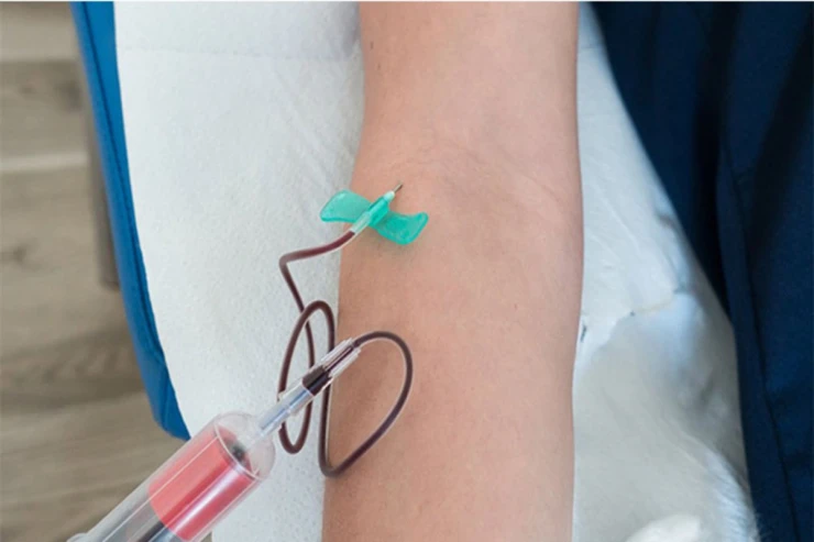 Azərbaycanda bu "kəpənək"lərin satışı qadağan edildi 