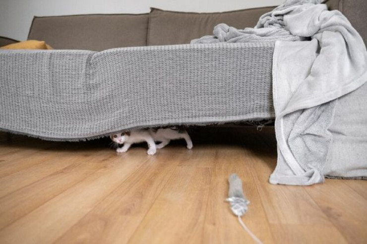 Çarpayının altında saxlamaq olmaz: bu 7 əşya evə zərər vura bilər 