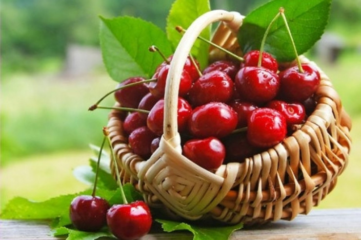 Albalı kimlərə zərərlidir - CAVAB 