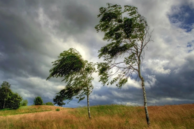 Küləkli hava nə vaxtadək  davam edəcək?