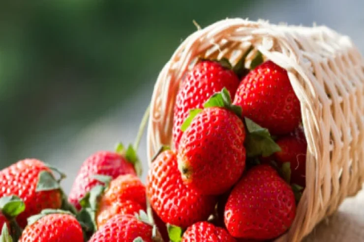 Çiyələyin insan orqanizminə  təsiri nədir? - CAVAB 