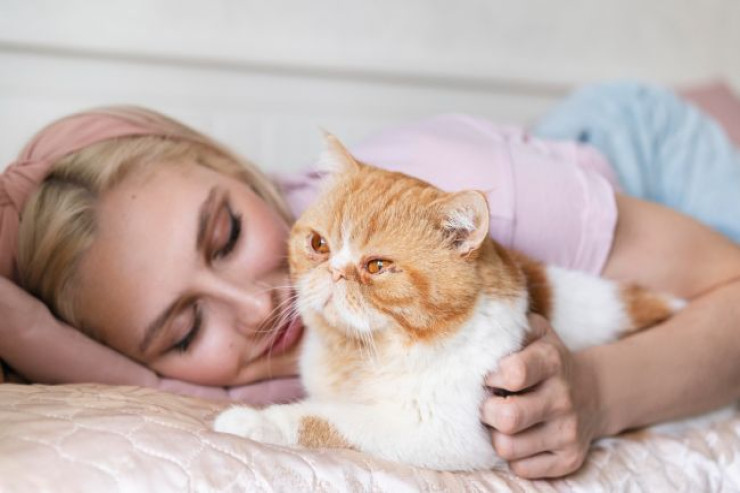 Əgər pişik başınızın yanında yatırsa həyatınızda dəyişikliklər gözlənilir - SƏBƏB 