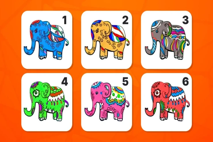 Bir fil seçmək həyatdakı əsas məqsədinizi  göstərəcək: Xarakter TESTİ 